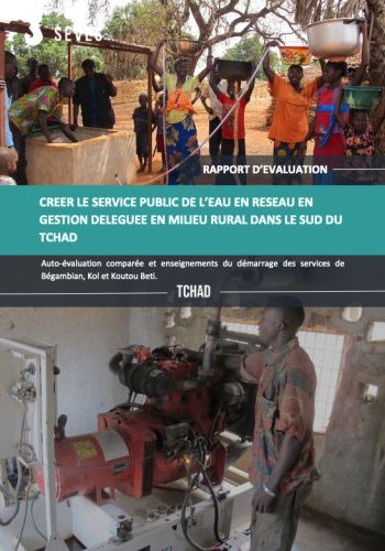 Créer le service public de l'eau en réseau en gestion déléguée en milieu rural dans le sud du Tchad