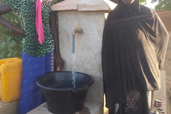 Mali : démarrage du service public de l'eau de Dar Salam